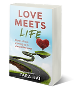 Love Meets Life book